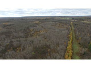 Property photo 3 - REAL ESTATE AUCTION - 1,428+/- ACRES OFFERED IN 10 TRACTS IN PRICE CO., WI